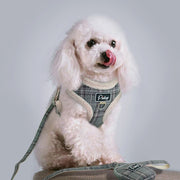 Soft Pet Dog Harnesses Vest No Pull Adjustable Puppy Cat Harness Leash Set