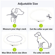 Led Light Dog Collar Detachable Glowing USB Charging Luminous Leash for  Pets Dogs Products