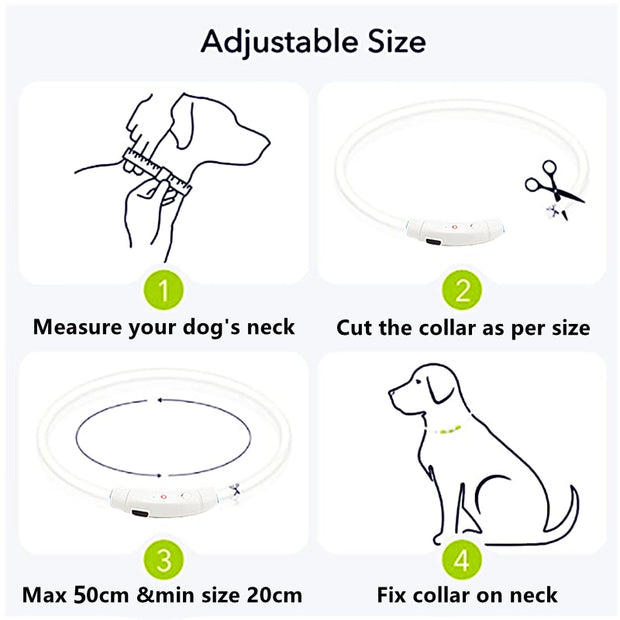 Led Light Dog Collar Detachable Glowing USB Charging Luminous Leash for  Pets Dogs Products