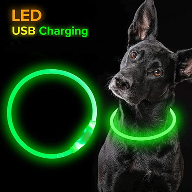 Led Light Dog Collar Detachable Glowing USB Charging Luminous Leash for  Pets Dogs Products