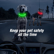 Led Light Dog Collar Detachable Glowing USB Charging Luminous Leash for  Pets Dogs Products